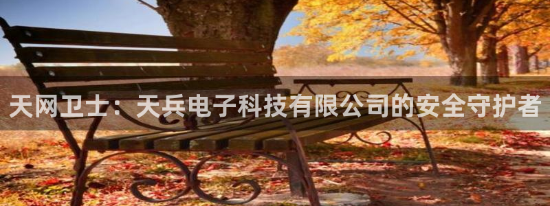 天网卫士：天兵电子科技有限公司的安全守护者