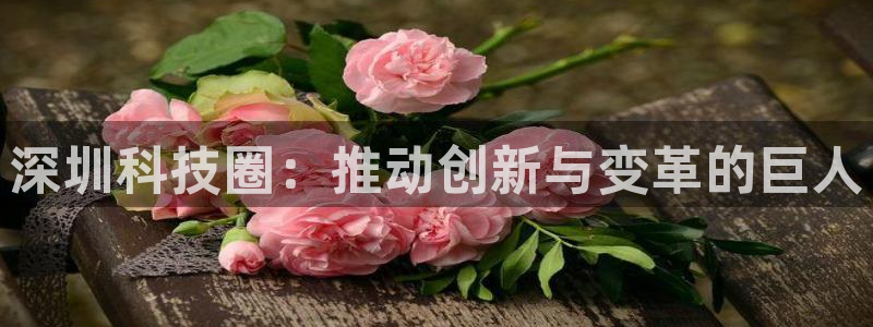 深圳科技圈：推动创新与变革的巨人