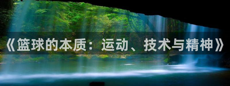 《篮球的本质：运动、技术与精神》