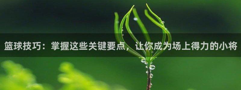 篮球技巧：掌握这些关键要点，让你成为场上得力的小将