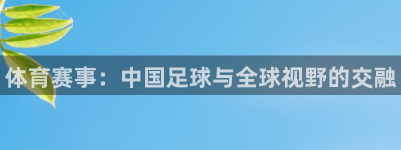 体育赛事：中国足球与全球视野的交融