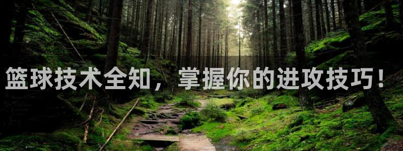 篮球技术全知，掌握你的进攻技巧！