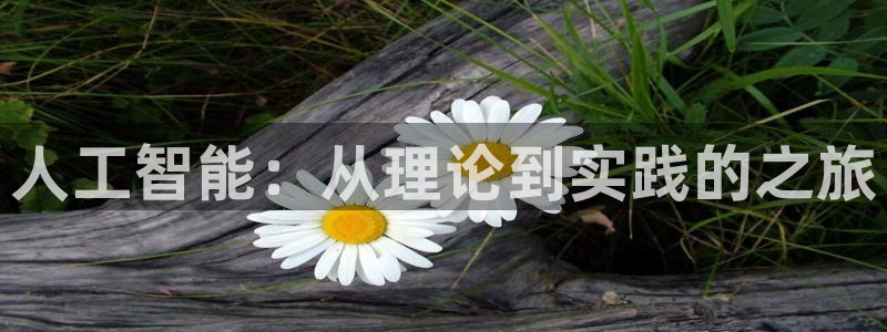 人工智能：从理论到实践的之旅